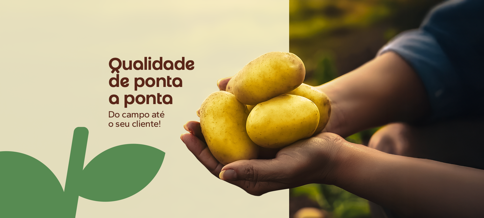 grupo-cr-home-banner-2